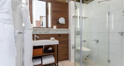 InterContinental Paris - Champs-Elys Room Type - 1 King Junior Suite Balcony