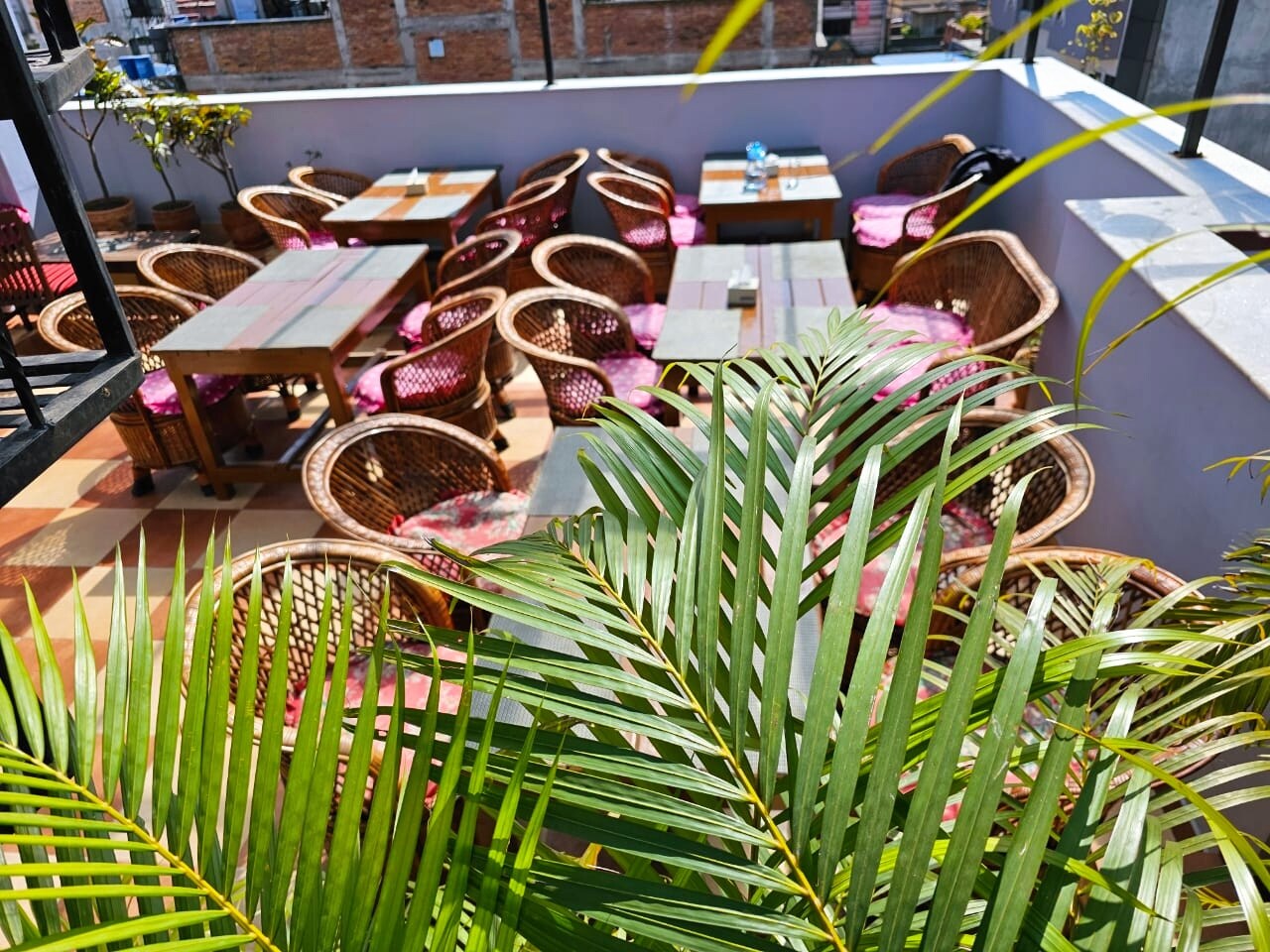 Hotel Pipal tree. - Tap to explore photos