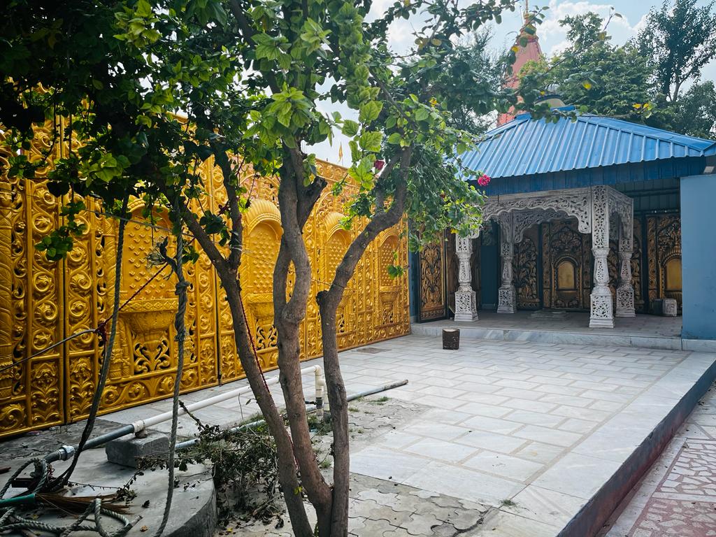 Main gallery
