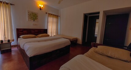 Bowline Nature Stay Room Type - Cozy room 2