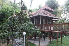 Streamside Nature Stay at Sulthan Bathery