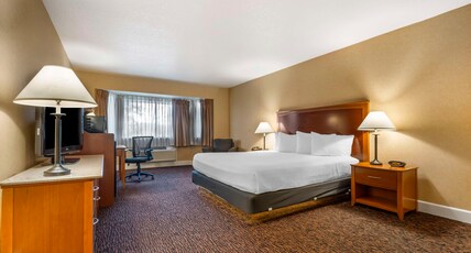 Best Western Plus Placerville Inn Room Type - 1 King Bed, Non-Smoking, Business Plus Room, Chair With Ottoman, Microwave And Refrigerator, High Sp