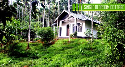 Vintage Garden Resort | Stay Amidst Bamboo Forest Room Type - Single Bedroom Cottage - Garden view