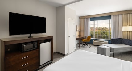 Holiday Inn Express & Suites Aiken, an IHG Hotel Room Type - 1 King Standard Communications Accessible