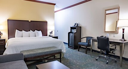 Hampton Inn by Hilton Alice Room Type - 1 KING W SOFABED NONSMOK