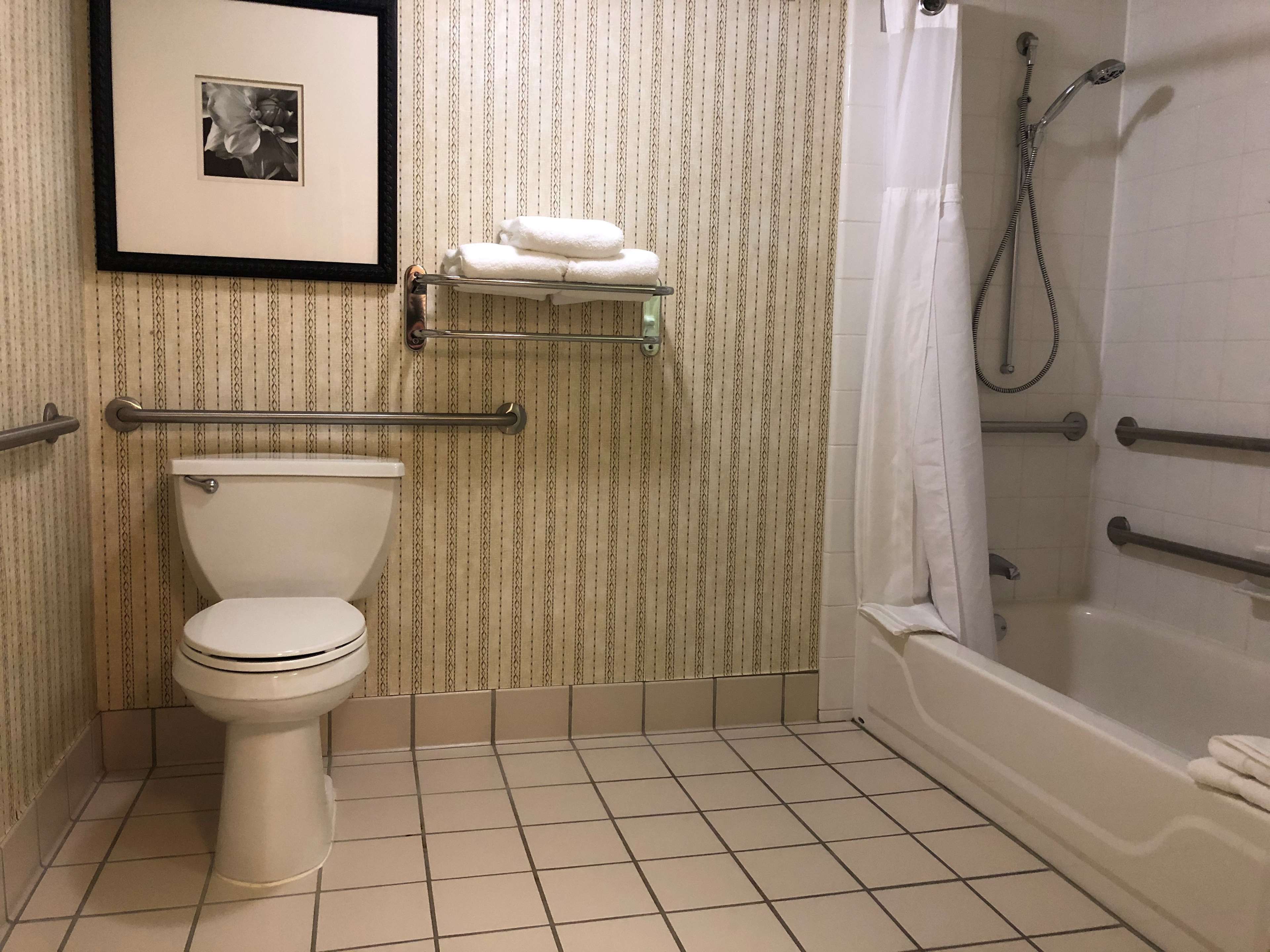 Hilton Garden Inn Addison - Tap to explore photos