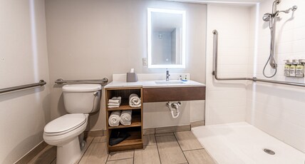 Holiday Inn Express INDIANAPOLIS SOUTH  Room Type - 1 King Standard Comm Access Roll Shower