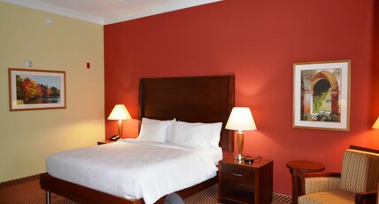 Hilton Garden Inn Houston West/Katy Room Type - 1 KING BED