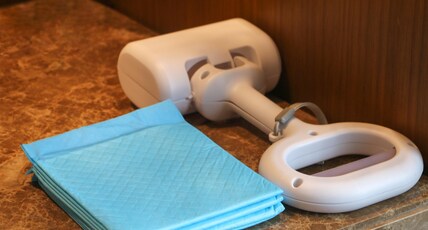 Doubletree By Hilton Hotel Jiaxing Room Type - PET-FRIENDLY TWIN ROOM