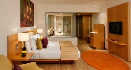 Radisson Blu Plaza Hotel Hyderabad Banjara Hills Room Type - Superior Room