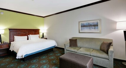 Hampton Inn & Suites by Hilton San Antonio/Northeast I-35 Room Type - 1KING STUDY SOFABED NOSMOK