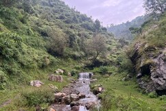 Whispering Shimla view