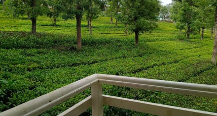 LMS Palve Sugavasam Room Type - Leafage