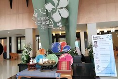 Palette Bangkok Natural Resort and Spa