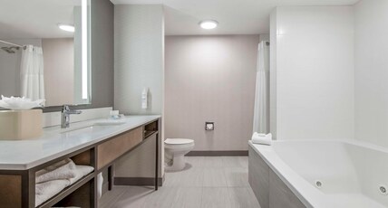 Hilton Garden Inn Dallas-Allen Room Type - 1 KING BED WITH WHIRLPOOL