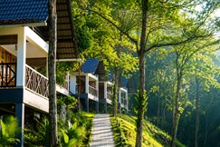 Woodrose Resort | Restaurant & Pool