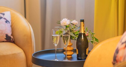 Pullman Toulouse Airport Room Type - Junior Suite