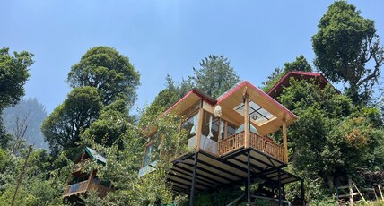 Pine wood Jacuzzi Tree House Room Type - Pine wood Jacuzzi Tree House