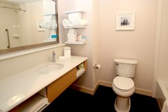 HAMPTON INN SUFFOLK VA