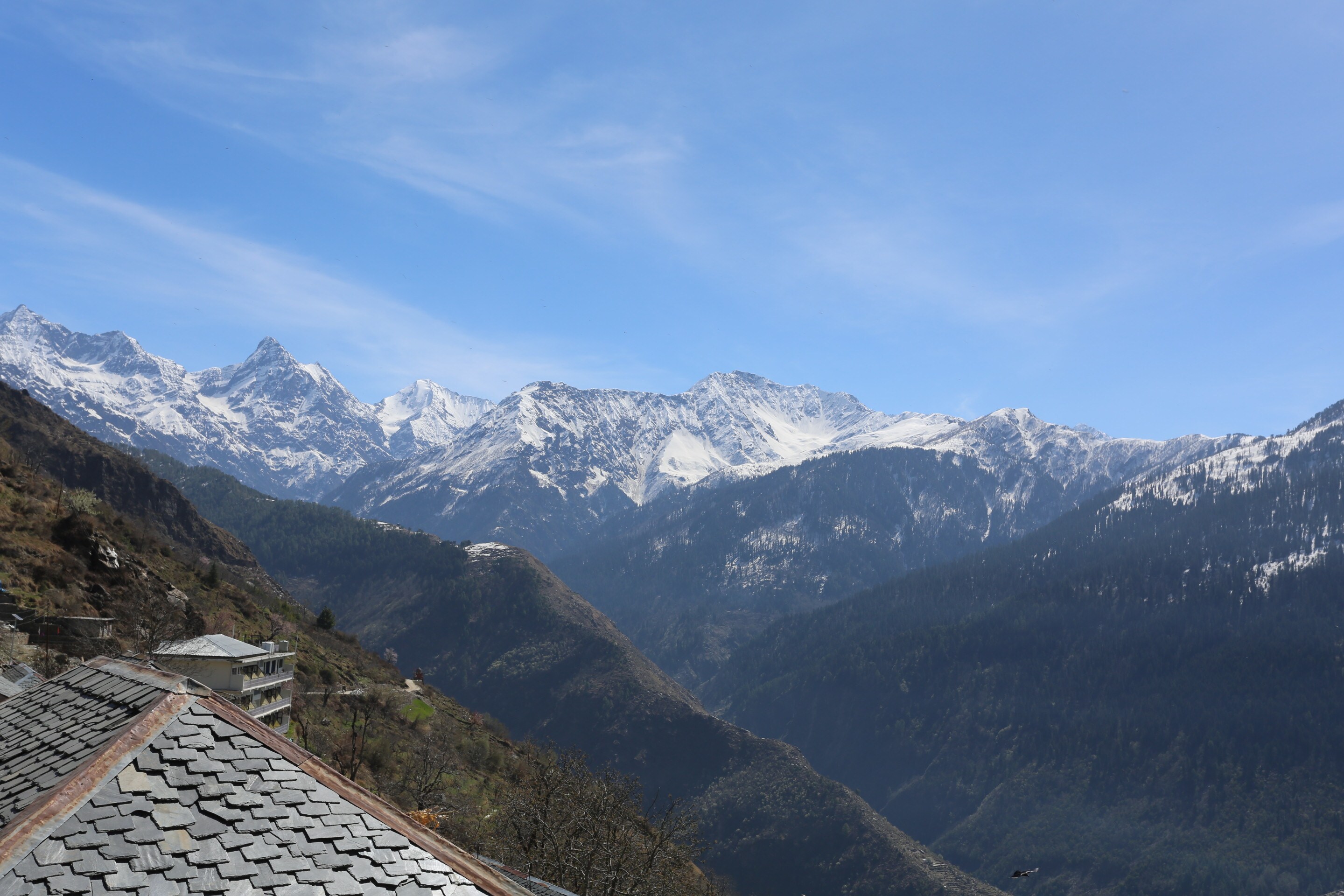 Hotel Sach Pass - Tap to explore photos