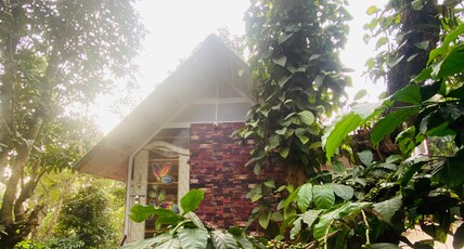 NAGARHOLE HOMESTAY Room Type - COTTAGE 4
