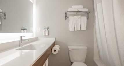 Holiday Inn Express & Suites Surrey Room Type - Standard Room