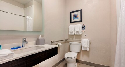 Holiday Inn Express Metropolis, an IHG Hotel Room Type - 1 King Standard Comm Access Roll Shwr