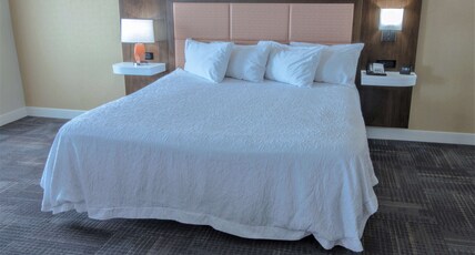 Hampton Inn & Suites Chesapeake-Battlefield Boulevard Room Type - 1KN MOB HEA ACC RIS STU NS