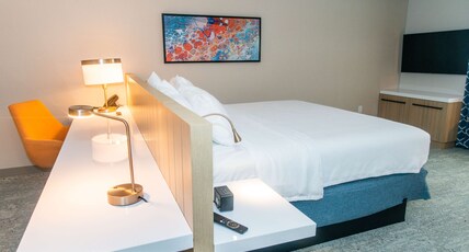 Hilton Garden Inn Mattoon Room Type - 1 KING BED STUDIO SUITE