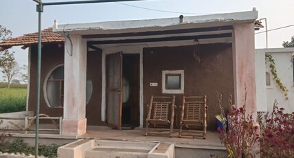 Blueberry homestay Room Type - Blueberry homestay
