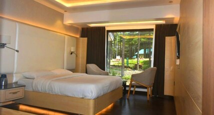 Hotel Jai Shree Room Type - Executive Room Hill View (A.C)