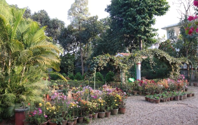 Main gallery
