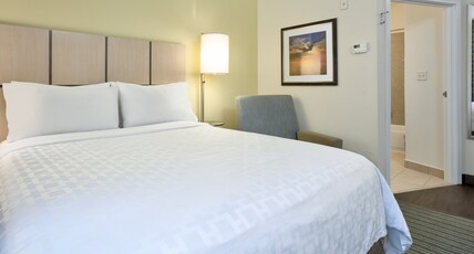 Candlewood Suites Dfw South Hotel (Pet-friendly) Room Type - Studio Suite