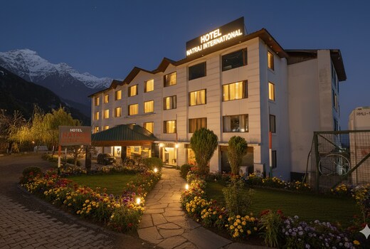 Hotel Natraj International