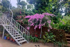 Birdsong Estate Stay