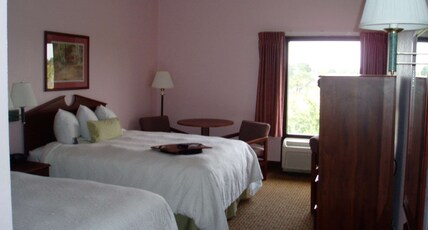 Hampton Inn by Hilton Spring Hill Room Type - 2 QUEEN BEDS NONSMOKING