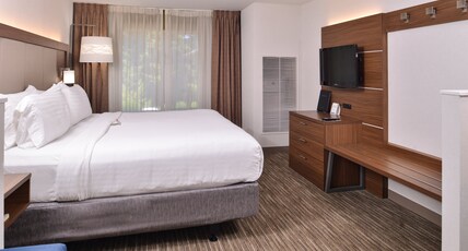Holiday Inn Express Hotel & Suites Lacey Room Type - 1 King Suite Living Area Sofa Bed Holiday Inn Express Hotel & Suites Lacey Room Type - 1 King Suite Living Area Sofa Bed