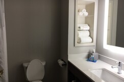 Holiday Inn Express & Suites THOMASVILLE