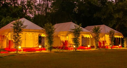 Jungle View Resort Room Type - Ac Swiss Tents