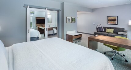 Hampton Inn & Suites Saraland Mobile AL Room Type - 1 KING STUDIO SUITE NS
