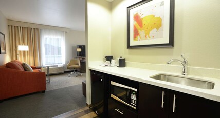Hampton Inn & Suites by Hilton Ponca City Room Type - 1KN STDO MIC FRIDG WTBR NS