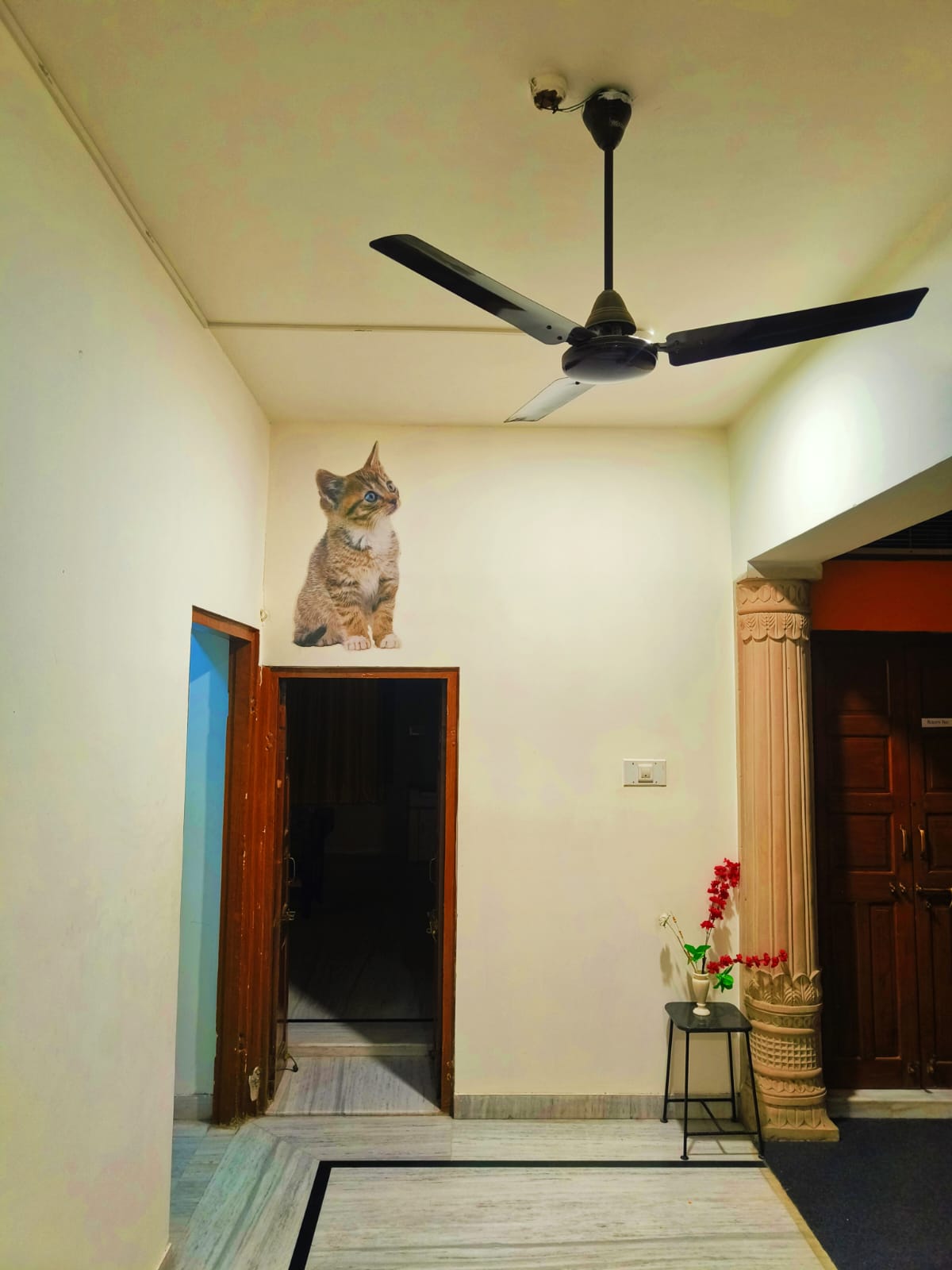 Ohh Hostler Jaipur | 10 Mins From Hawa Mahal - Tap to explore photos
