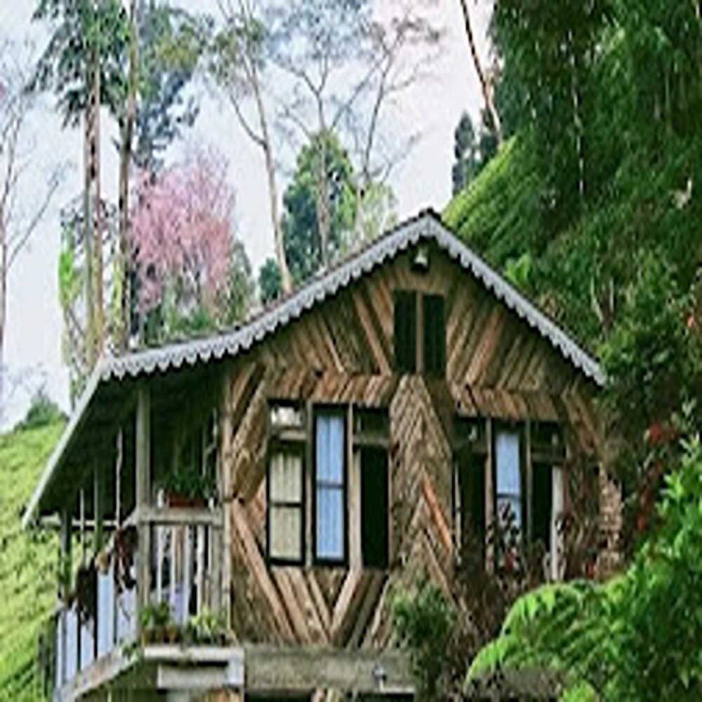 Puttabong Khim Homestays - Tap to explore photos