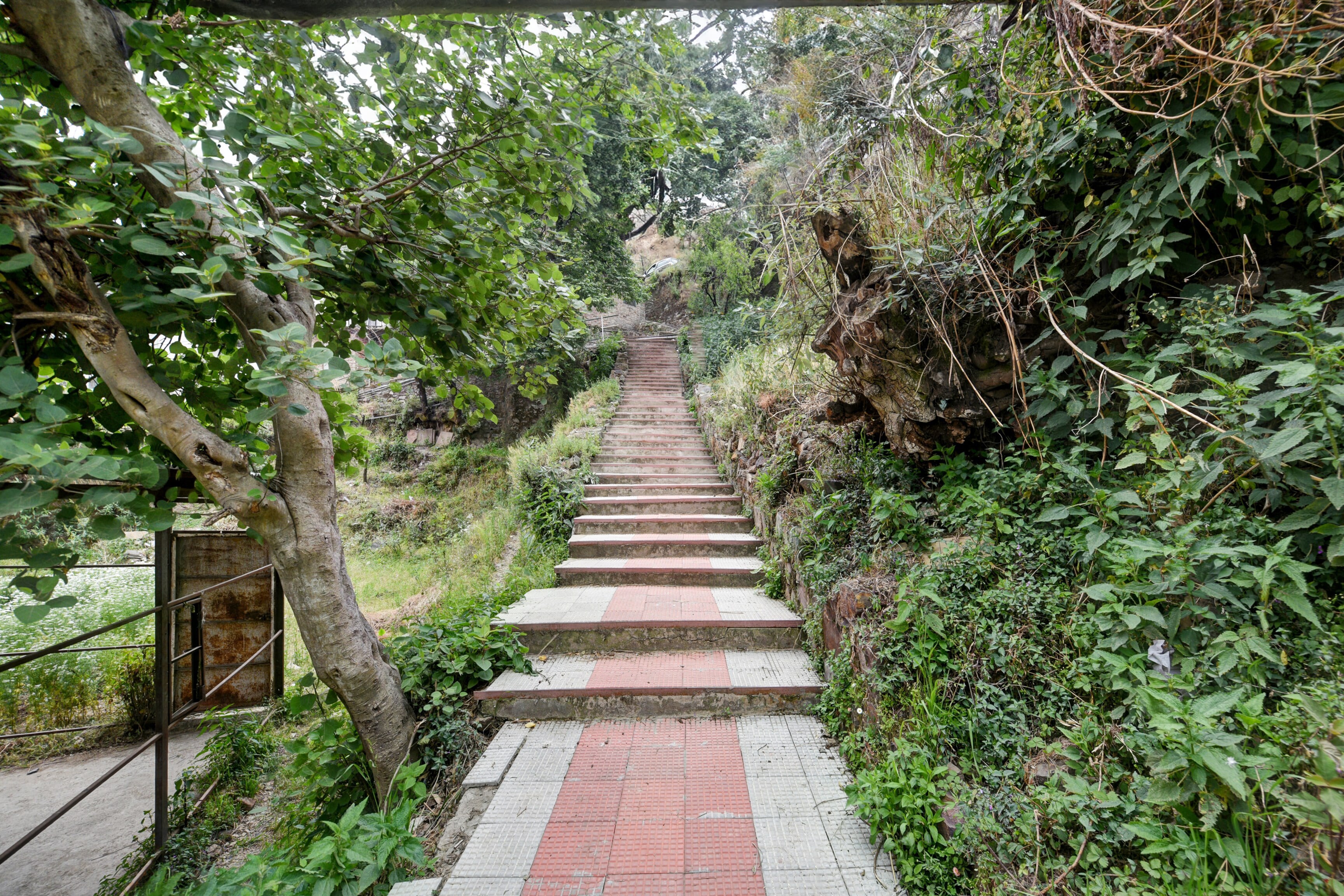Hotel O Tara Regency - Tap to explore photos