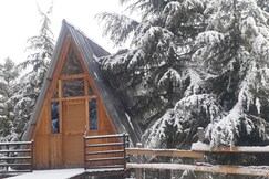 Jungle Creek Shanghar