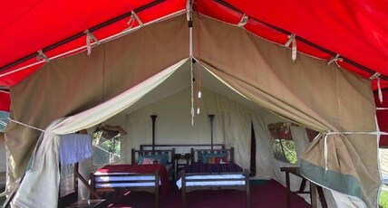 Nomad Eco Retreat , Kufri Room Type - Pub Tent