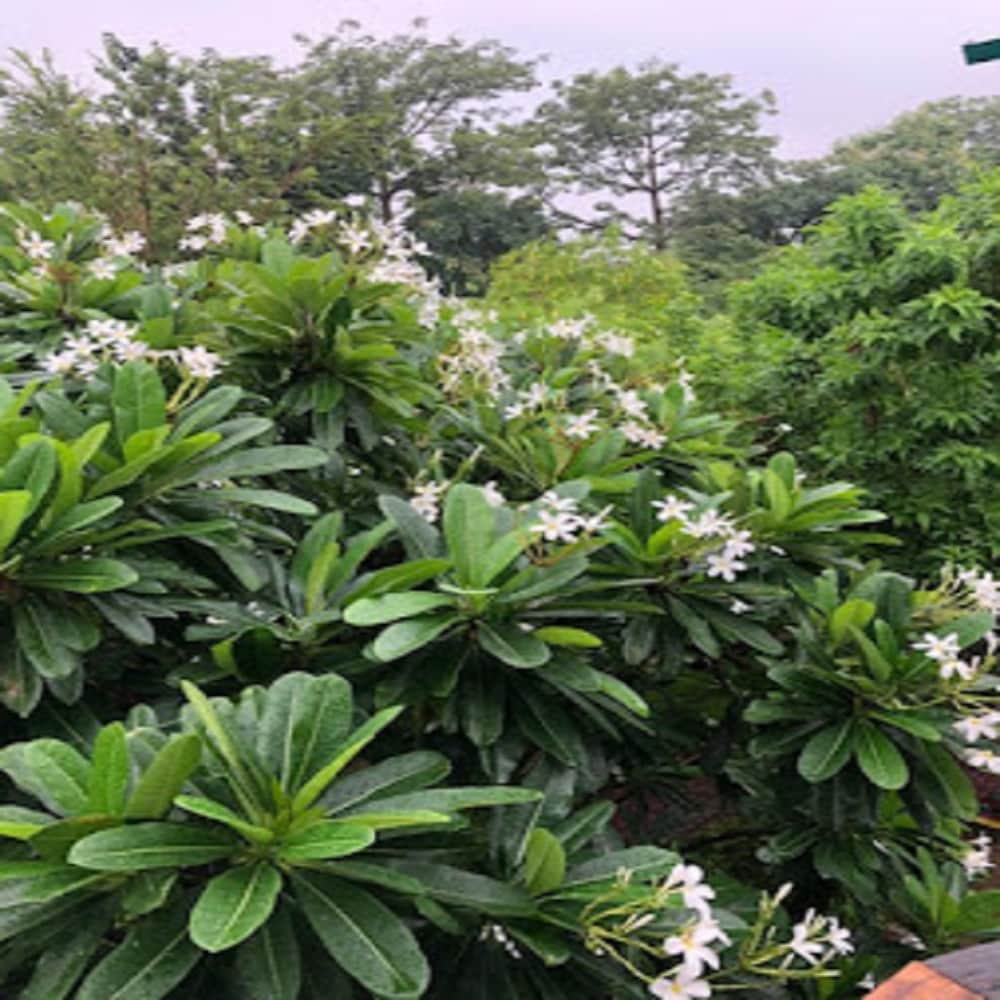 Hotel Ulka Priyadarshini - Tap to explore photos