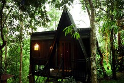 Ranches Jungle Beats Resorts