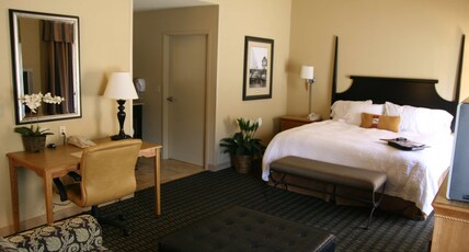 Hampton Inn & Suites Mobile Providence Park/Airport Room Type - 1RMSUITE KING NON-SMOKING