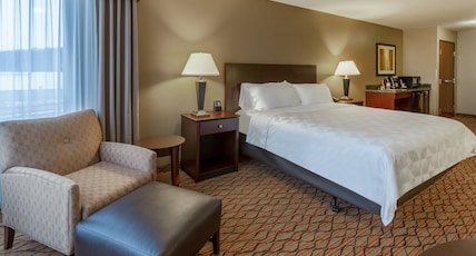 Holiday Inn Eau Claire South Room Type - 1 Kng Ste Comm Mobil Access Roll Shwr